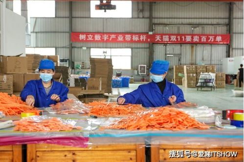 天猫双11首日产业带厂货成交额飙升17倍 日用品成为增长核心引擎